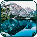 100000 Nature Wallpapers & Bac APK