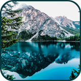 100000 Nature Wallpapers icon