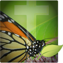 Cross Wallpapers - Nature Christian Wallpapers HD APK