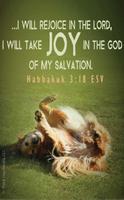 Christian Wallpapers - Animals screenshot 2