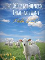 Bible Verse Promises poster