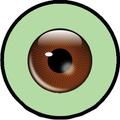 The Third Eye
