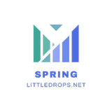 Spring Framework icono