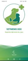 VetmemoDdx Cartaz
