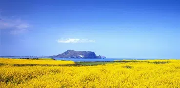 Learn Korean - Học tiếng Hàn