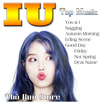IU Top Music APK