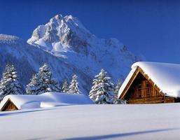 Winter Wallpaper اسکرین شاٹ 2