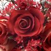 3D Roses wallpaper