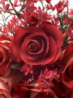 برنامه‌نما 3D Roses wallpaper عکس از صفحه