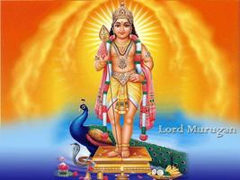 Lord Murugan Wallpaper Affiche