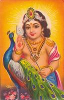 Lord Murugan Wallpaper اسکرین شاٹ 1