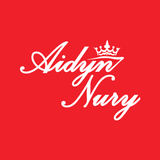 Aidyn Nury आइकन