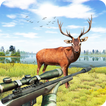 Animal chasse Jeux