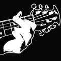 Post-Metal Radio