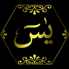 Surah Yasin Audio MP3 icon