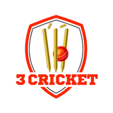 3Cricket ikona