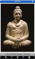 Buddha Amitabha poster