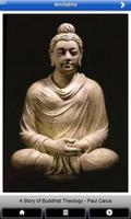 Buddha Amitabha Poster