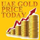 UAE Gold Price(AED) Today icône