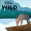 Nat Wild Geo Planet Earth