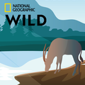 Nat Wild Geo Planet Earth