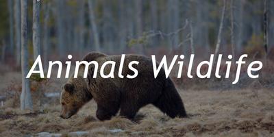 Nat Geo Wild: Africa Animals Ekran Görüntüsü 3