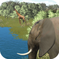 Kids Safari Tour