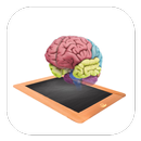 360ed Highschool Biology APK