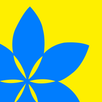 Gallery APK