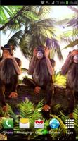 Three Wise Monkeys 3D Affiche