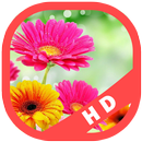 Flower Wallpapers Background HD APK