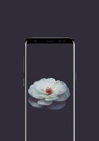 Flower Wallpapers Background HD पोस्टर