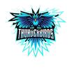 APK Thunderbirds