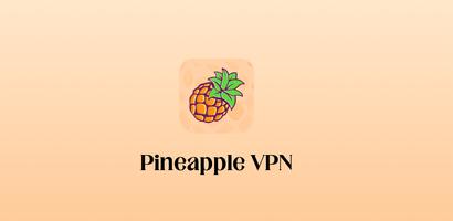 Pineapple Proxy - Easy Connect скриншот 1