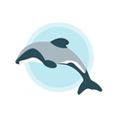 Hector's Dolphin Sightings APK