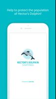 Hector's Dolphin Sightings-poster