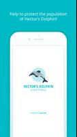 Hector's Dolphin Sightings โปสเตอร์