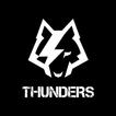 iThunders icon