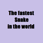 The fastest Snake in the world icône