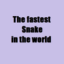 APK The fastest Snake in the world