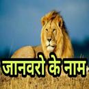Animals Names In Hindi APK
