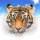 动物的声音 APK