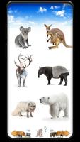 Animal Sounds 截图 2