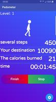 Pedometer Poster