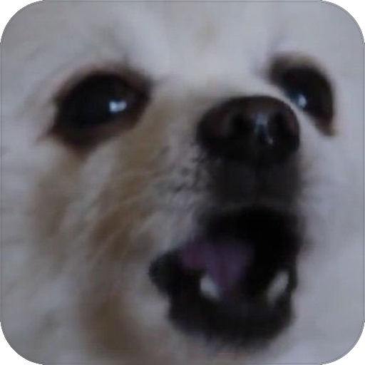 Gabe The Dog Apk 1 36 Download For Android Download Gabe The Dog Apk Latest Version Apkfab Com