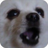 Gabe The Dog Zeichen