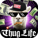 Thug Life Éditeur De Photos - Montage Photo APK