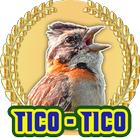 Canto de TICO-TICO Grande icône