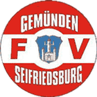 FV Gemünden/Seifriedsburg icône