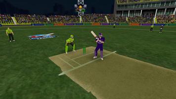 Pakistan T20 Cricket Games 3D ảnh chụp màn hình 3